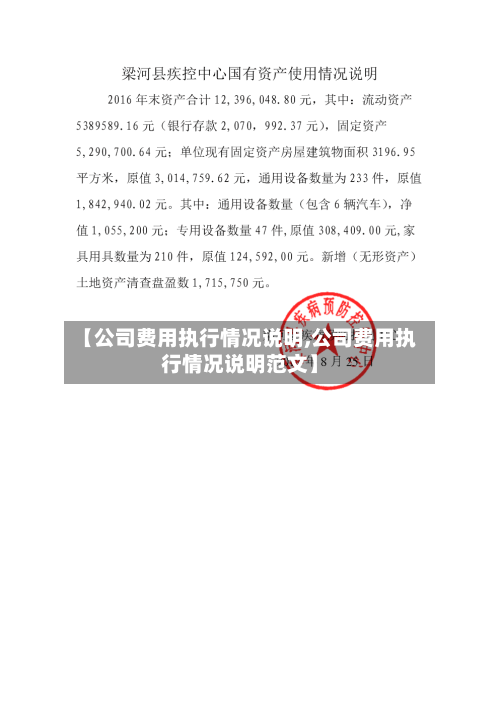 【公司费用执行情况说明,公司费用执行情况说明范文】
