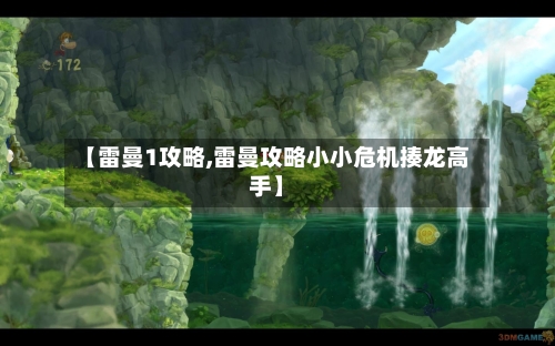 【雷曼1攻略,雷曼攻略小小危机揍龙高手】