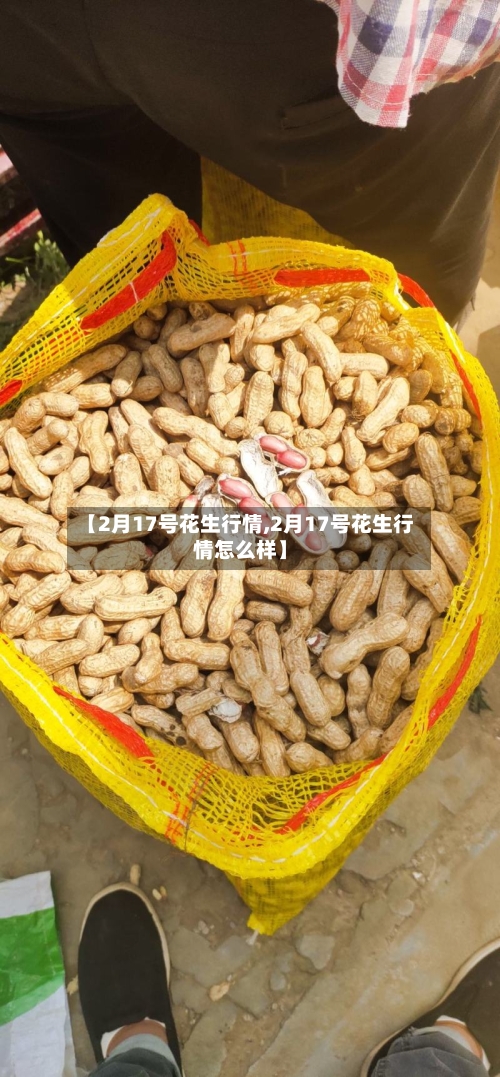 【2月17号花生行情,2月17号花生行情怎么样】-第1张图片