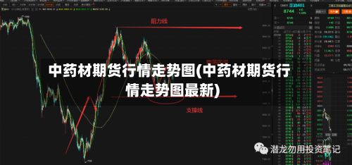 中药材期货行情走势图(中药材期货行情走势图最新)-第1张图片