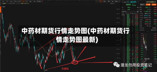 中药材期货行情走势图(中药材期货行情走势图最新)-第3张图片