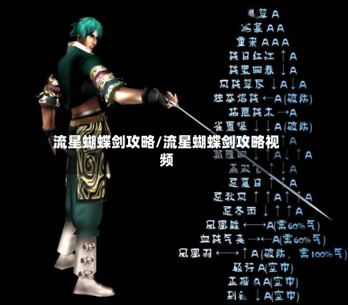 流星蝴蝶剑攻略/流星蝴蝶剑攻略视频-第1张图片
