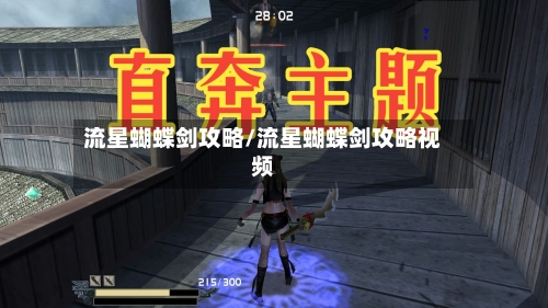 流星蝴蝶剑攻略/流星蝴蝶剑攻略视频-第2张图片