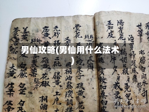 男仙攻略(男仙用什么法术)-第1张图片