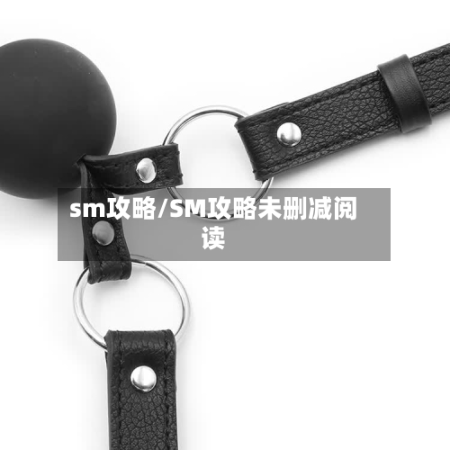 sm攻略/SM攻略未删减阅读-第1张图片