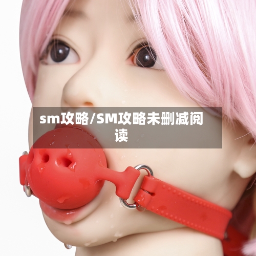 sm攻略/SM攻略未删减阅读-第3张图片