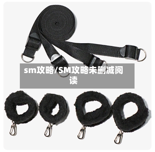 sm攻略/SM攻略未删减阅读-第2张图片