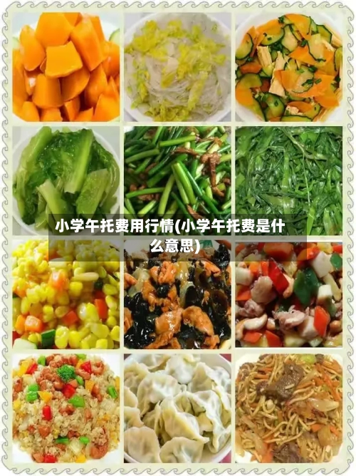 小学午托费用行情(小学午托费是什么意思)