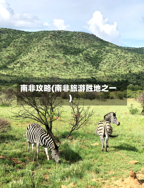 南非攻略(南非旅游胜地之一)-第3张图片