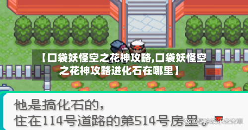 【口袋妖怪空之花神攻略,口袋妖怪空之花神攻略进化石在哪里】
