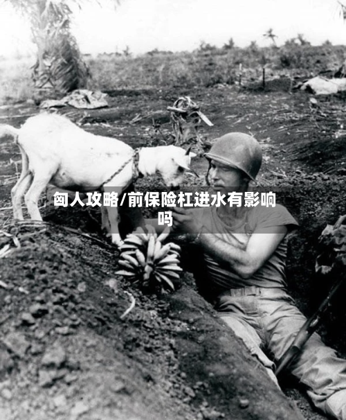 匈人攻略/前保险杠进水有影响吗-第3张图片