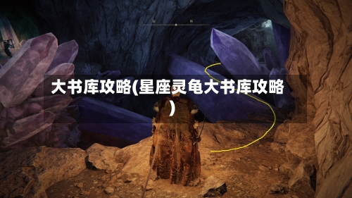 大书库攻略(星座灵龟大书库攻略)