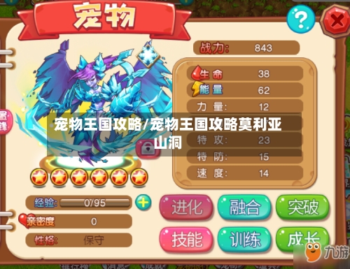 宠物王国攻略/宠物王国攻略莫利亚山洞-第1张图片