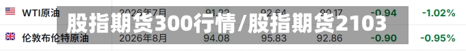 股指期货300行情/股指期货2103-第1张图片
