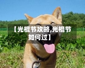 【光棍节攻略,光棍节如何过】