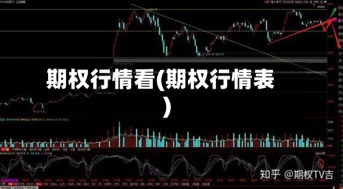 期权行情看(期权行情表)-第2张图片
