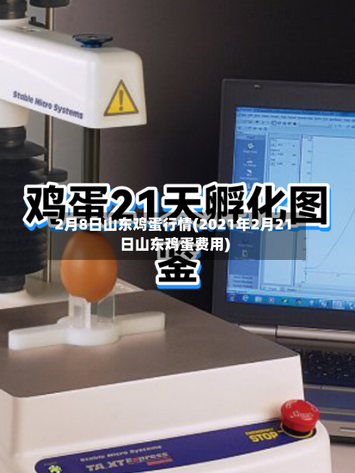 2月8日山东鸡蛋行情(2021年2月21日山东鸡蛋费用)-第3张图片
