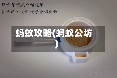 蚂蚁攻略(蚂蚁公坊)-第1张图片