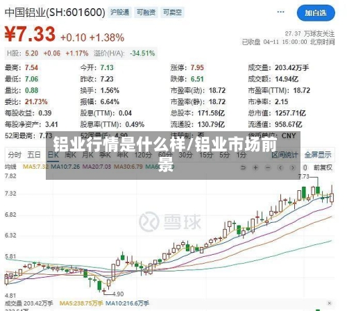 铝业行情是什么样/铝业市场前景-第3张图片