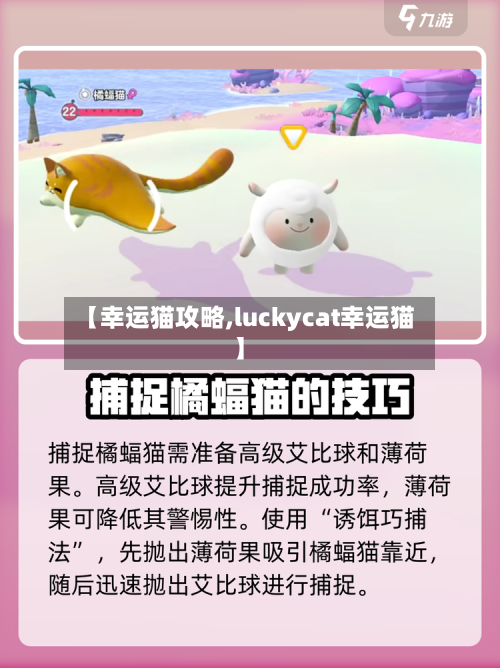 【幸运猫攻略,luckycat幸运猫】-第3张图片