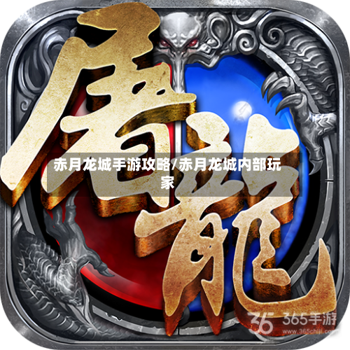 赤月龙城手游攻略/赤月龙城内部玩家-第1张图片
