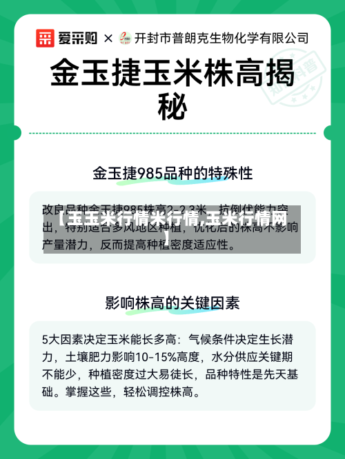 【玉玉米行情米行情,玉米行情网】-第2张图片