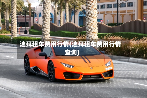 迪拜租车费用行情(迪拜租车费用行情查询)-第2张图片
