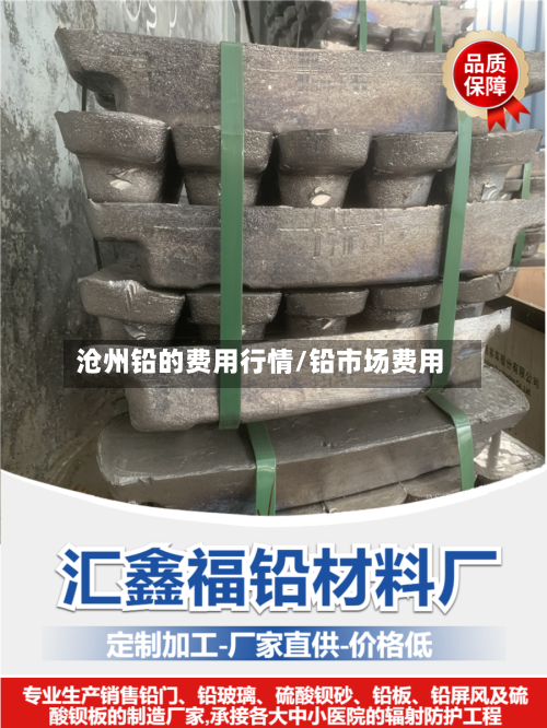 沧州铅的费用行情/铅市场费用-第2张图片