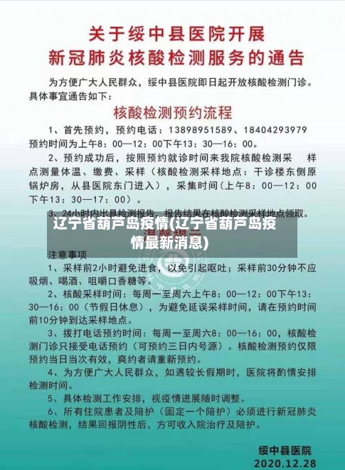 辽宁省葫芦岛疫情(辽宁省葫芦岛疫情最新消息)