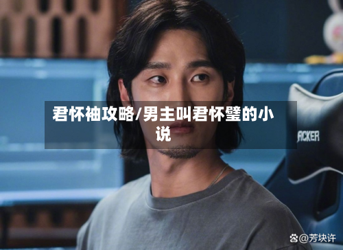 君怀袖攻略/男主叫君怀璧的小说-第2张图片