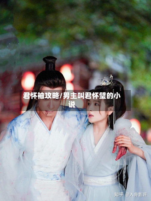 君怀袖攻略/男主叫君怀璧的小说