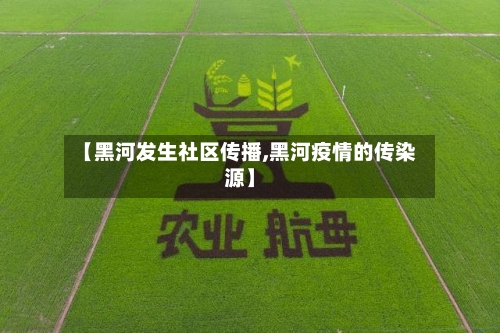 【黑河发生社区传播,黑河疫情的传染源】-第2张图片