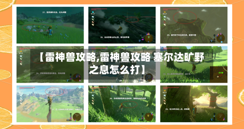 【雷神兽攻略,雷神兽攻略 塞尔达旷野之息怎么打】-第2张图片
