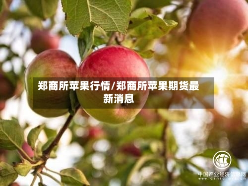郑商所苹果行情/郑商所苹果期货最新消息-第1张图片