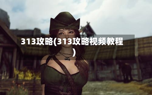 313攻略(313攻略视频教程)-第2张图片