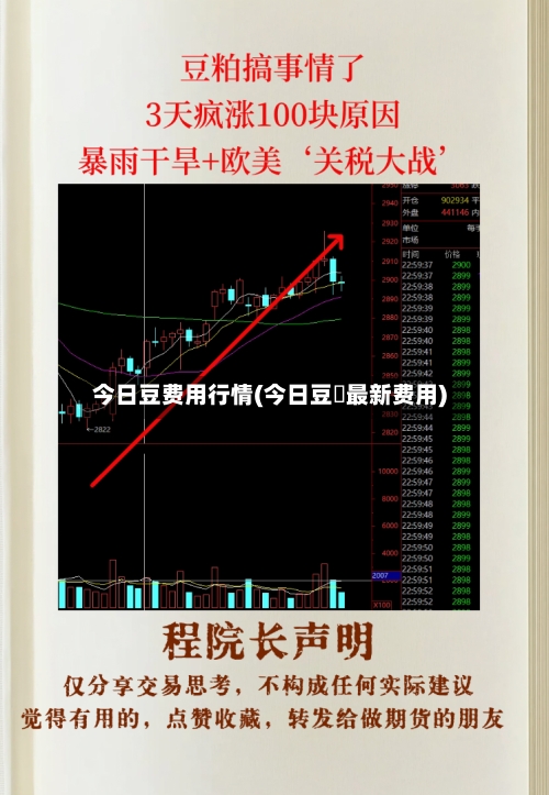 今日豆费用行情(今日豆粨最新费用)-第2张图片