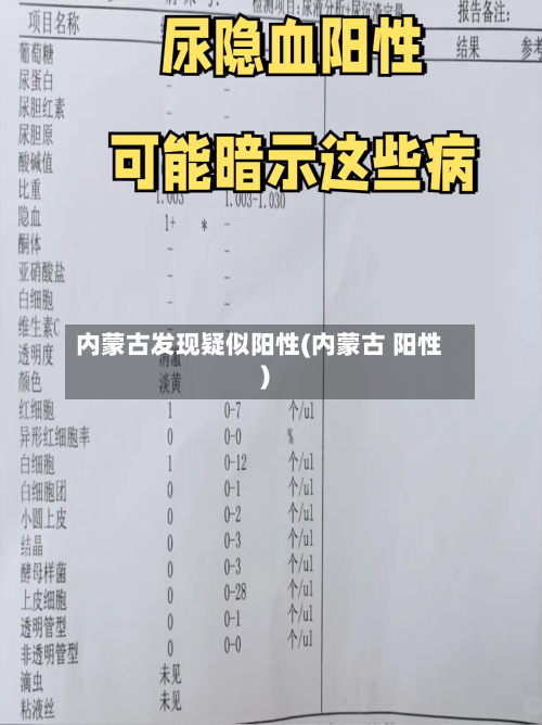 内蒙古发现疑似阳性(内蒙古 阳性)-第2张图片