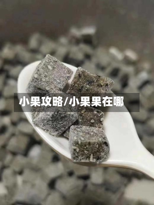 小果攻略/小果果在哪-第1张图片
