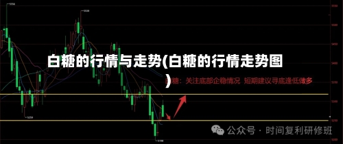 白糖的行情与走势(白糖的行情走势图)