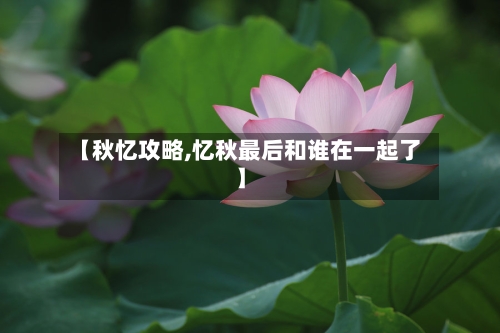 【秋忆攻略,忆秋最后和谁在一起了】-第2张图片