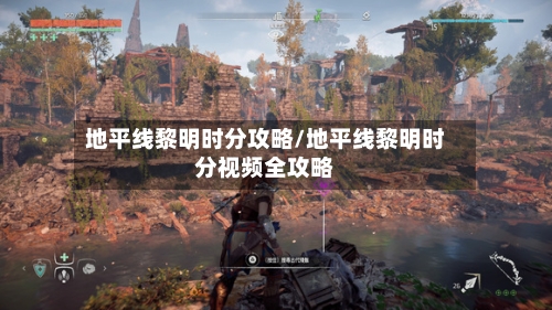 地平线黎明时分攻略/地平线黎明时分视频全攻略-第1张图片