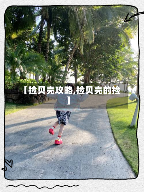 【捡贝壳攻略,捡贝壳的捡】-第2张图片