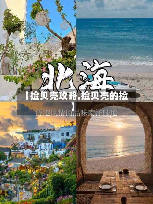 【捡贝壳攻略,捡贝壳的捡】