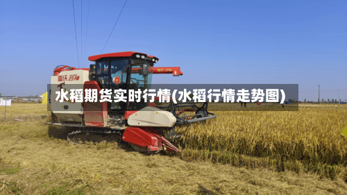 水稻期货实时行情(水稻行情走势图)
