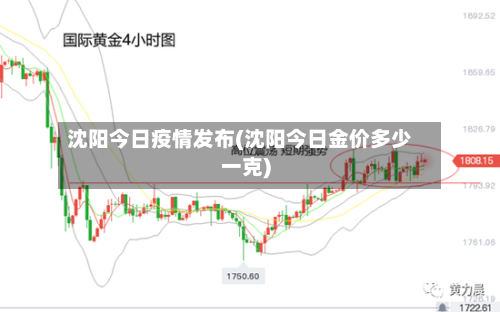 沈阳今日疫情发布(沈阳今日金价多少一克)