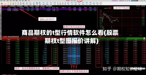 商品期权的t型行情软件怎么看(股票期权t型图报价讲解)-第1张图片