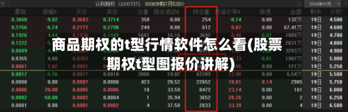 商品期权的t型行情软件怎么看(股票期权t型图报价讲解)-第2张图片