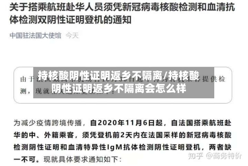 持核酸阴性证明返乡不隔离/持核酸阴性证明返乡不隔离会怎么样-第3张图片