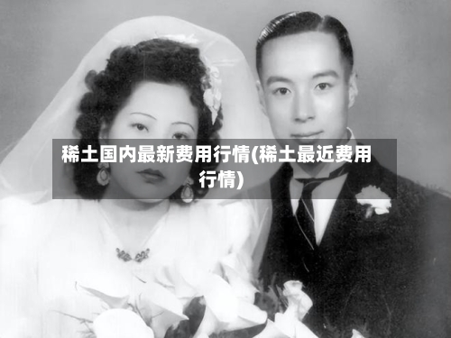 稀土国内最新费用行情(稀土最近费用行情)