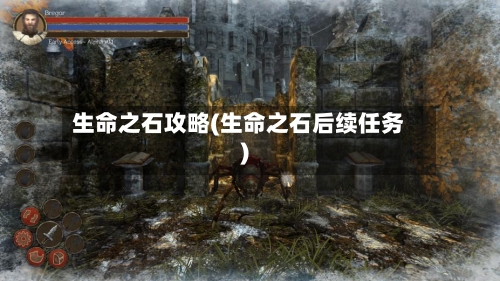生命之石攻略(生命之石后续任务)-第3张图片